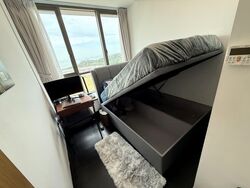Skyline Residences (D4), Condominium #615175571